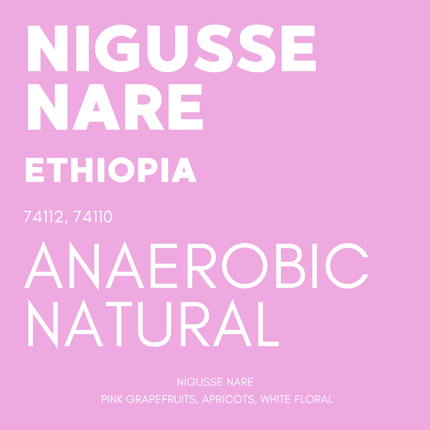 STAPLE l Nigusse Nare Anaerobic Natural 74158, 74152 Ethiopia