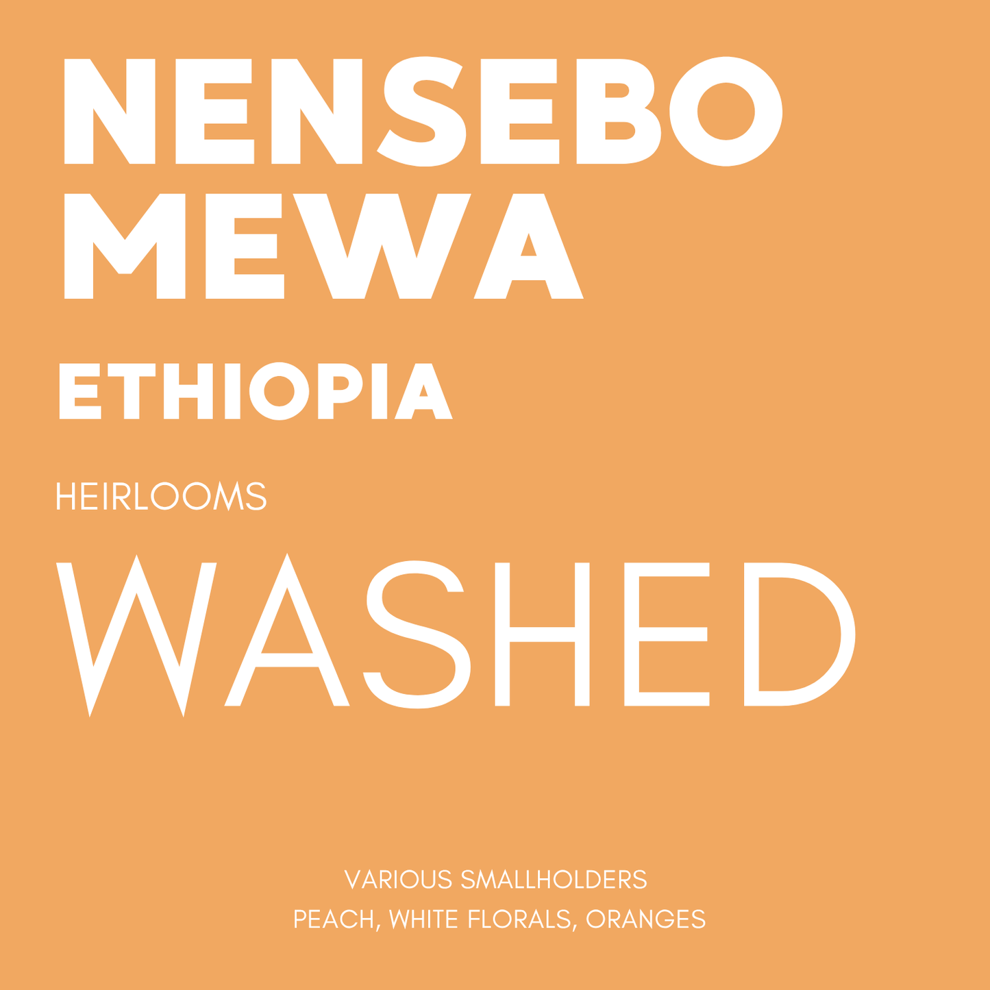 STAPLE l Nensebo Mewa Washed Jarc 74112 & 74110 Ethiopia
