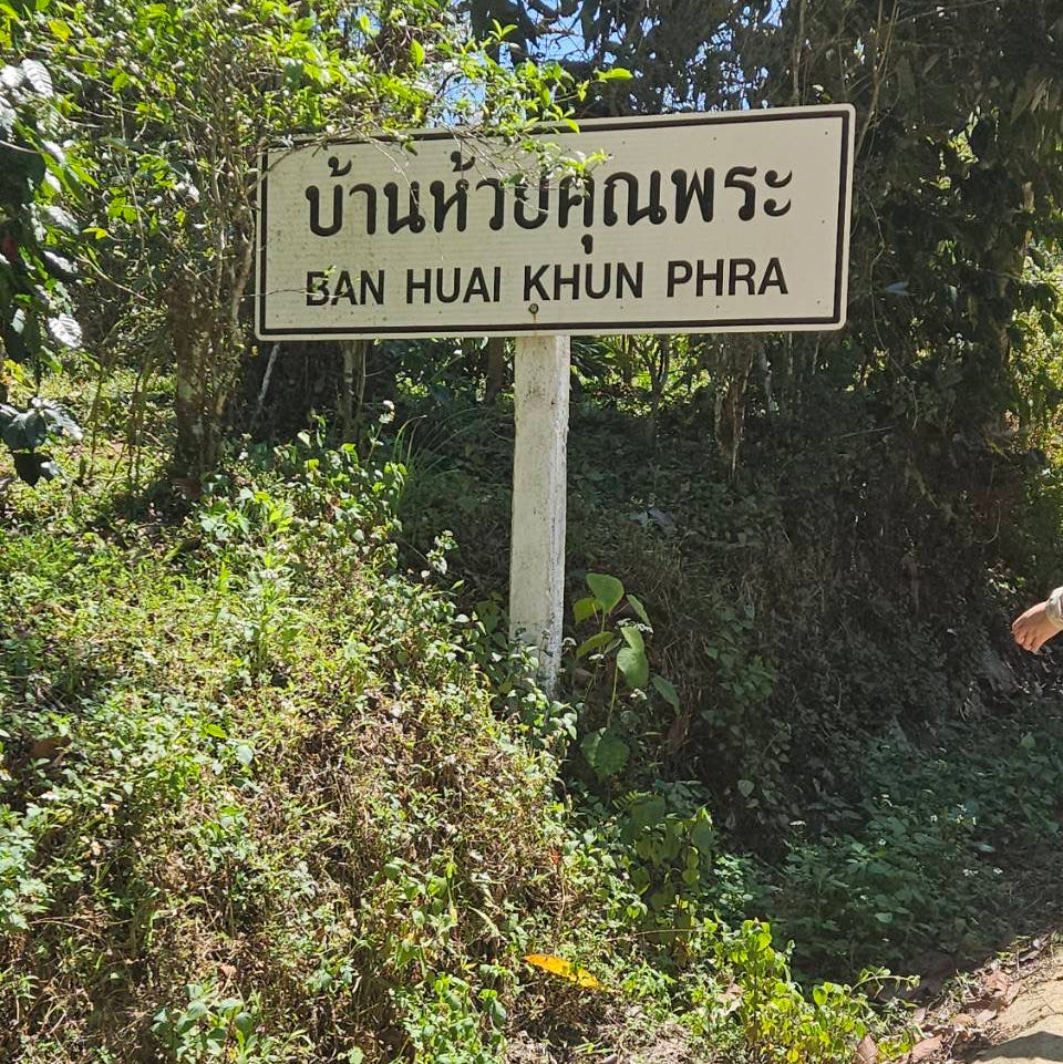 STAPLE l Huai Khun Phra 615 108hr Anaerobic Natural Thailand