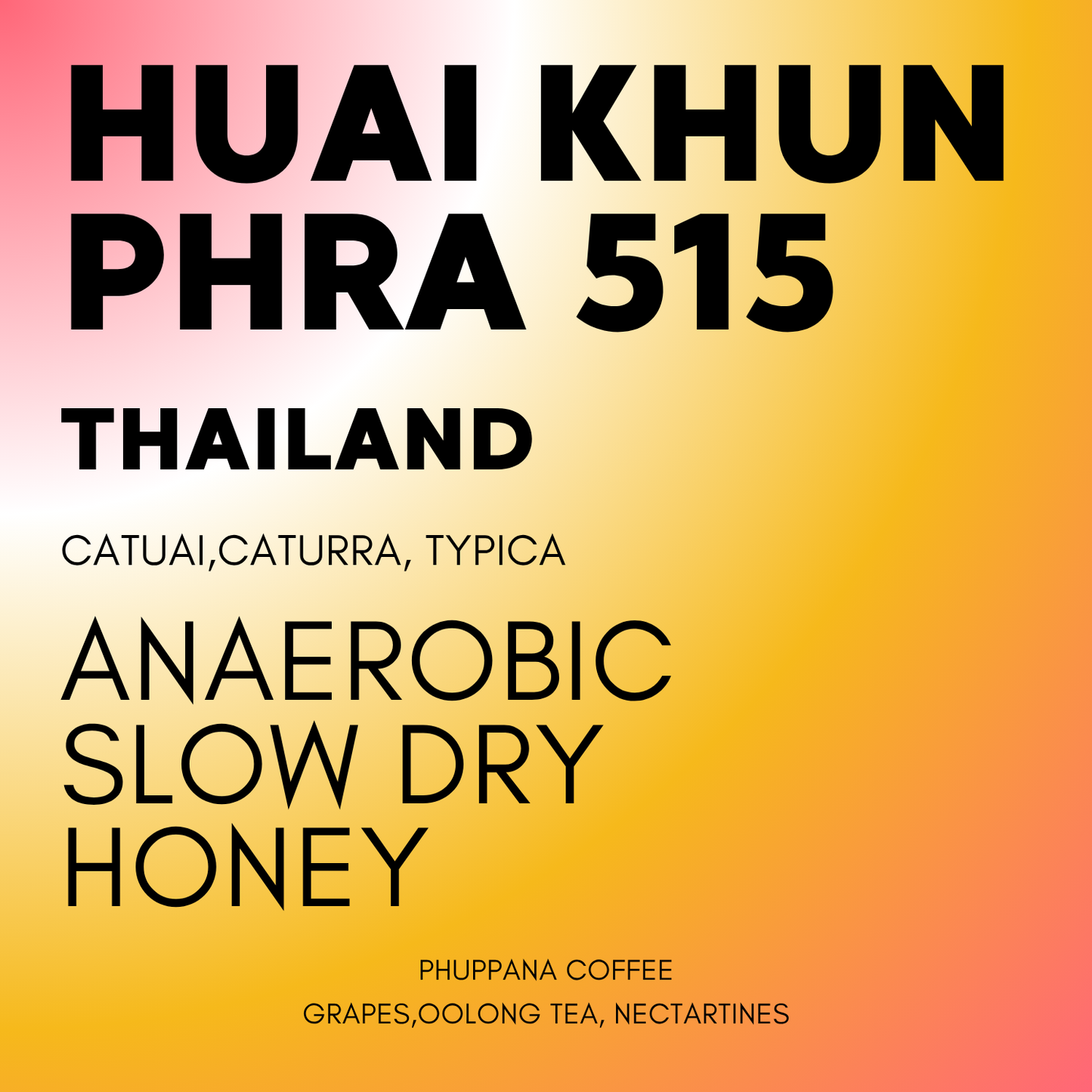 DISCOVERY | Huai Khun Phra 515 Honey Anaerobic Slow Dry Thailand