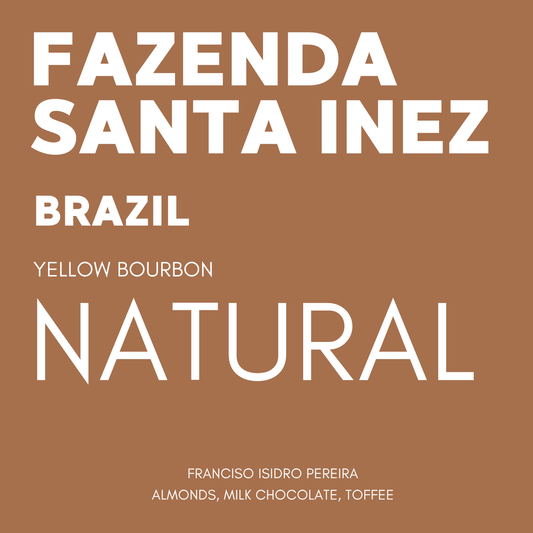 STAPLE l Santa Inez Natural Yellow Bourbon Brazil