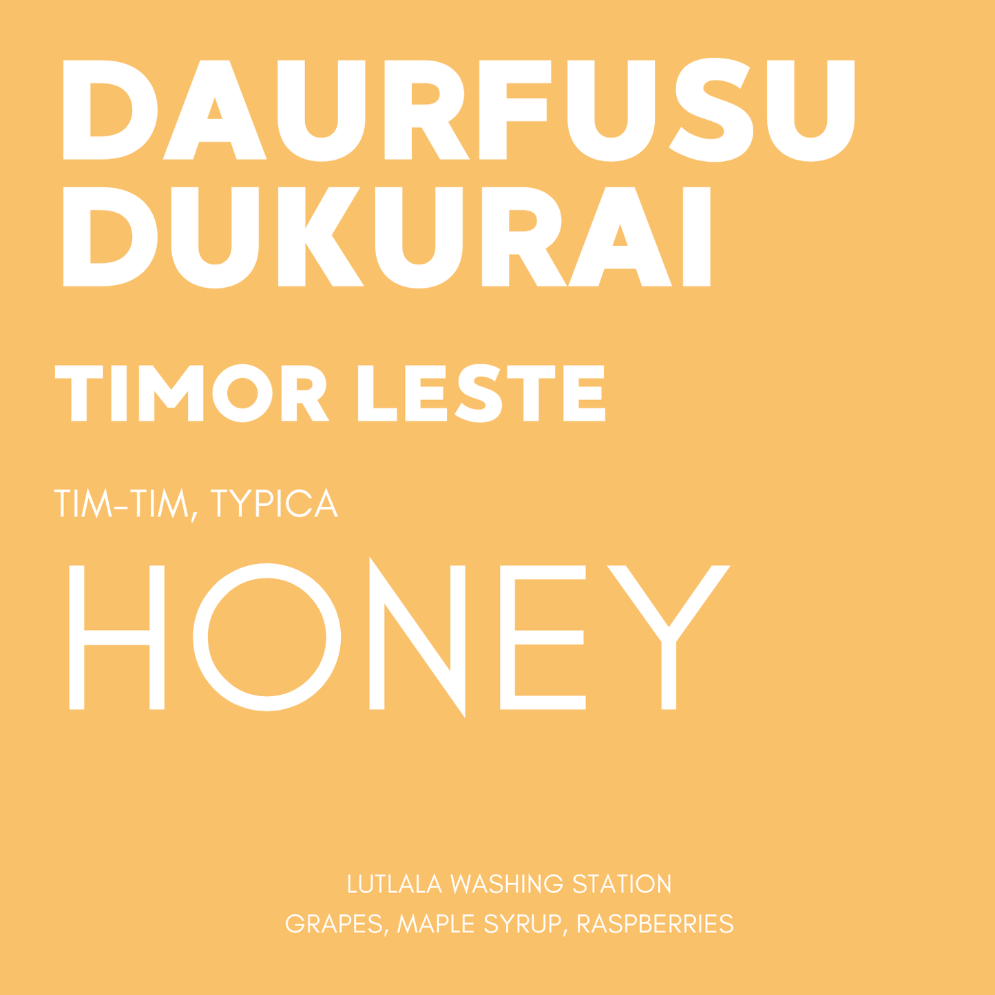 STAPLE l Daurfusu Honey Tim-Tim & Typica Timor Leste