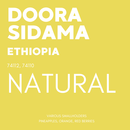 STAPLE l Doora Sidama Natural Heirloom Ethiopia
