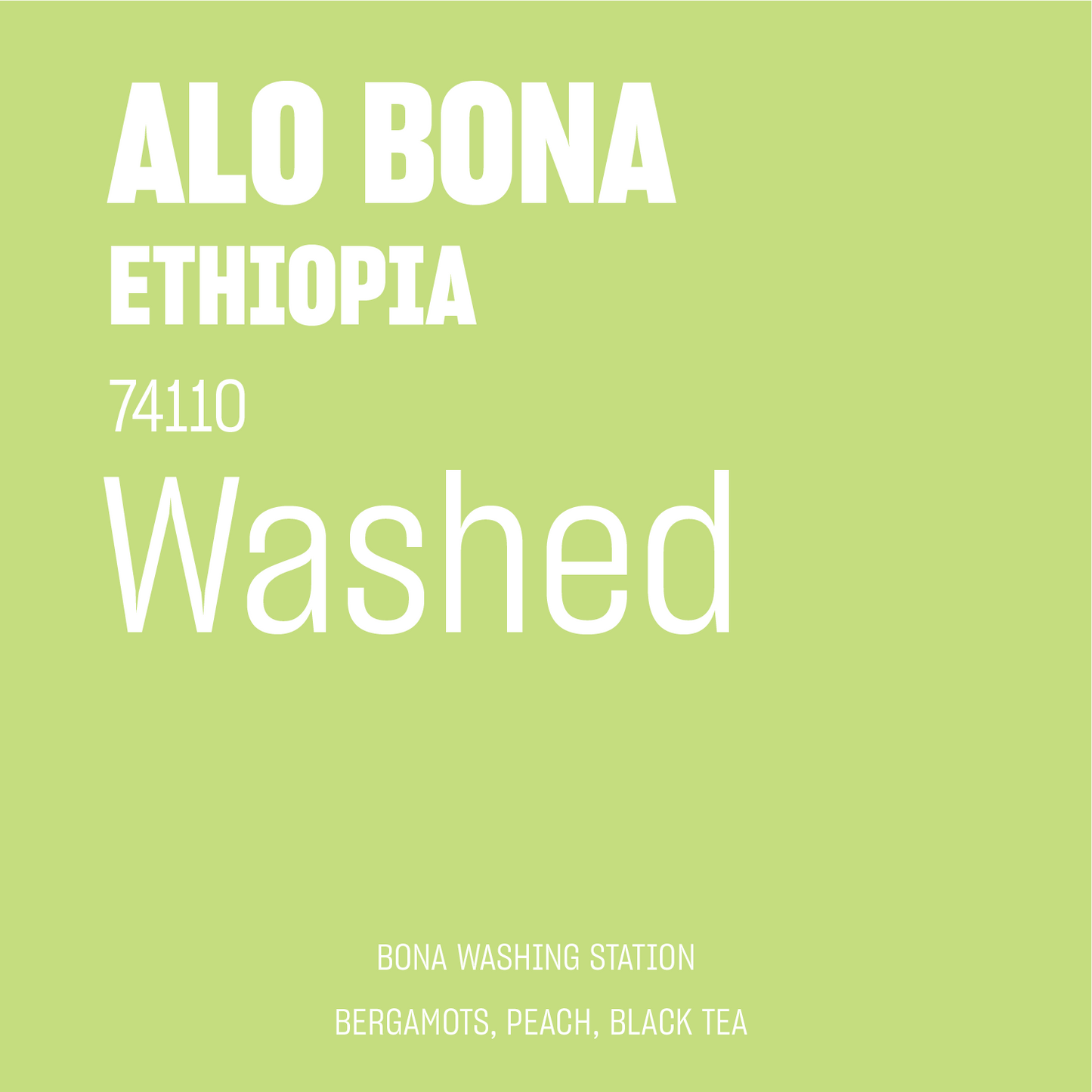 STAPLE l ALO Bona Washed Jarc 74110 Ethiopia