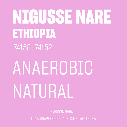 STAPLE l Nigusse Nare Anaerobic Natural 74158, 74152 Ethiopia