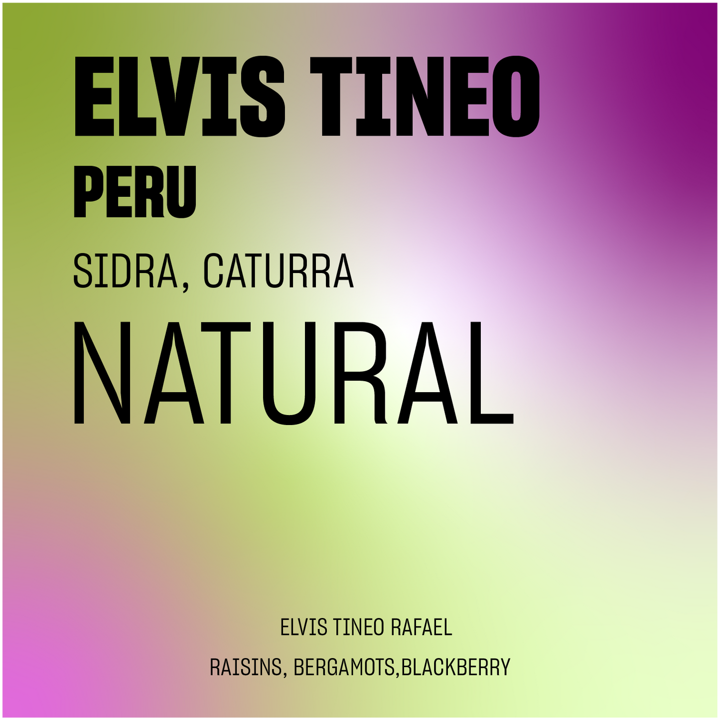 DISCOVERY | Elvis Tineo Natural Sidra,Caturra Peru