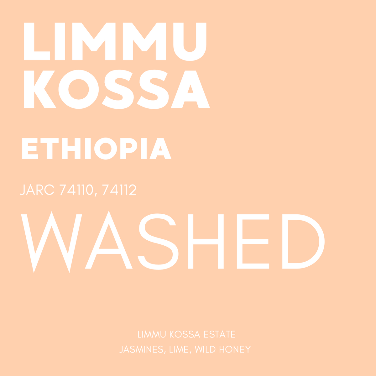 STAPLE l Limmu Kossa Washed JARC 74110, 74112 Ethiopia