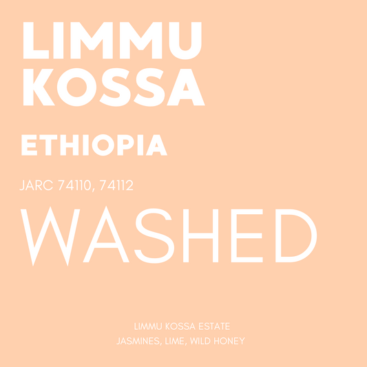 STAPLE l Limmu Kossa Washed JARC 74110, 74112 Ethiopia