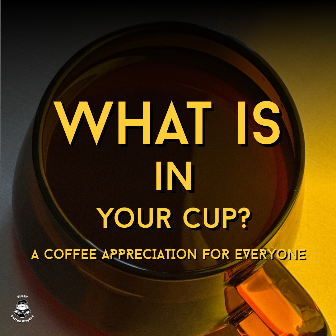WHAT IS IN YOUR CUP? (A coffee appreciation for everyone)